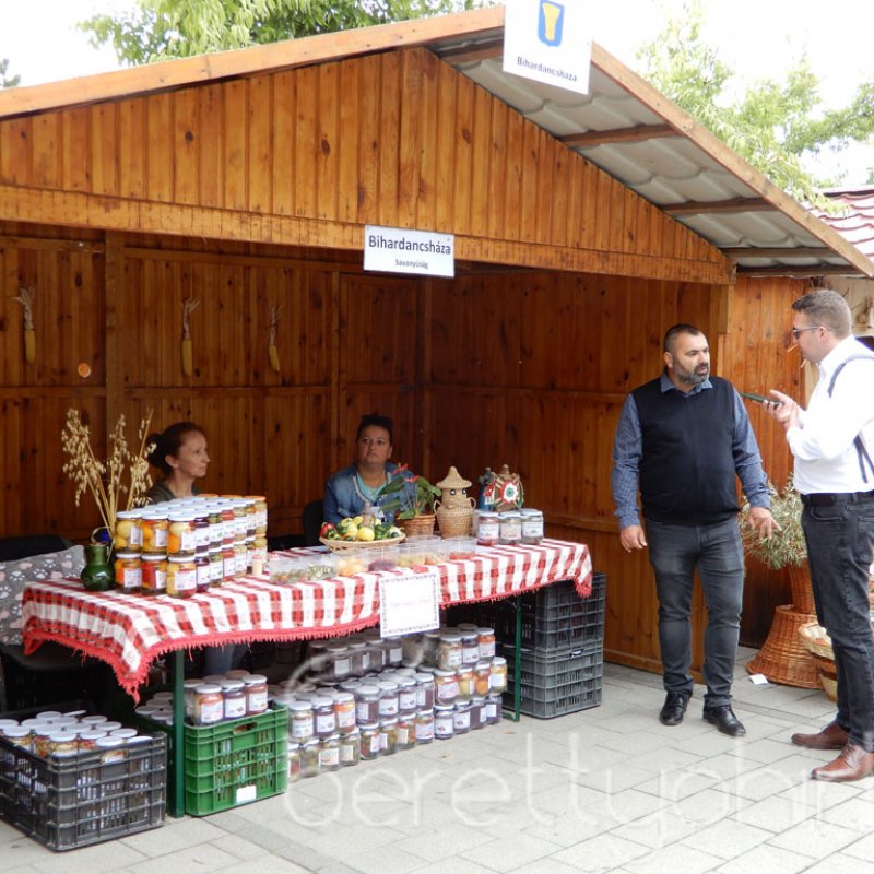 Helyi Értékek Startja 37